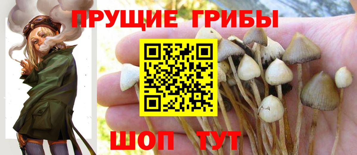Галлюциногенные грибы мицелий  Псилоцибиновые грибы GOLDEN TEACHER  Вход с VPN  Озёрск 