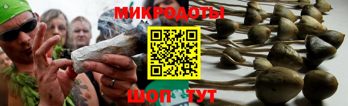 Псилоцибиновые грибы мухоморы Озёрск